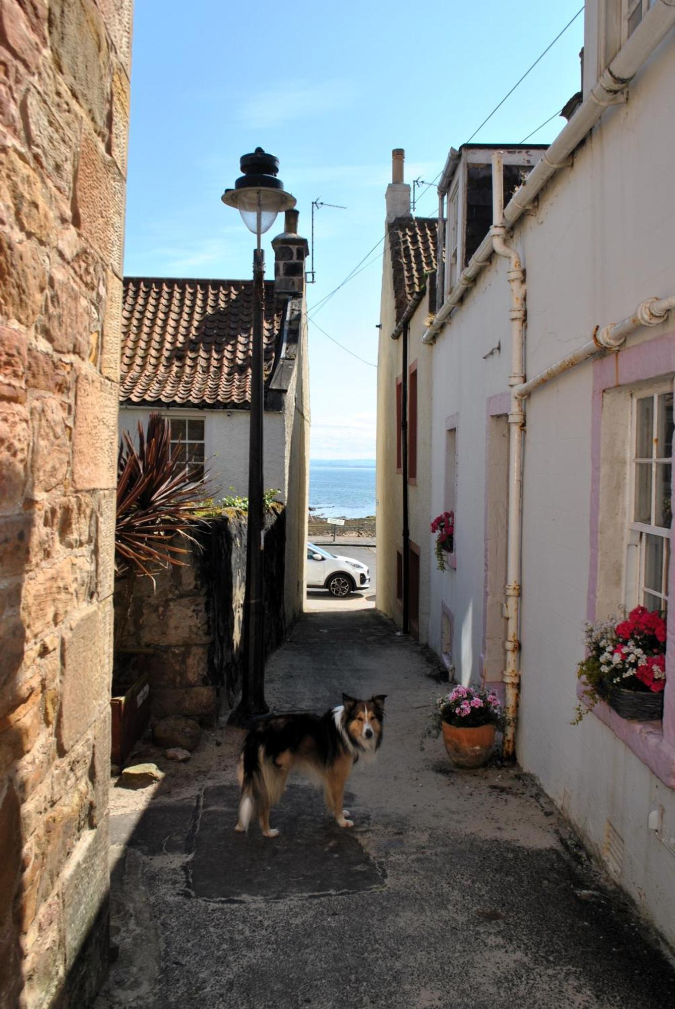 Dookers Nook- Quirky Coastal Cottage Pittenweem Exterior photo